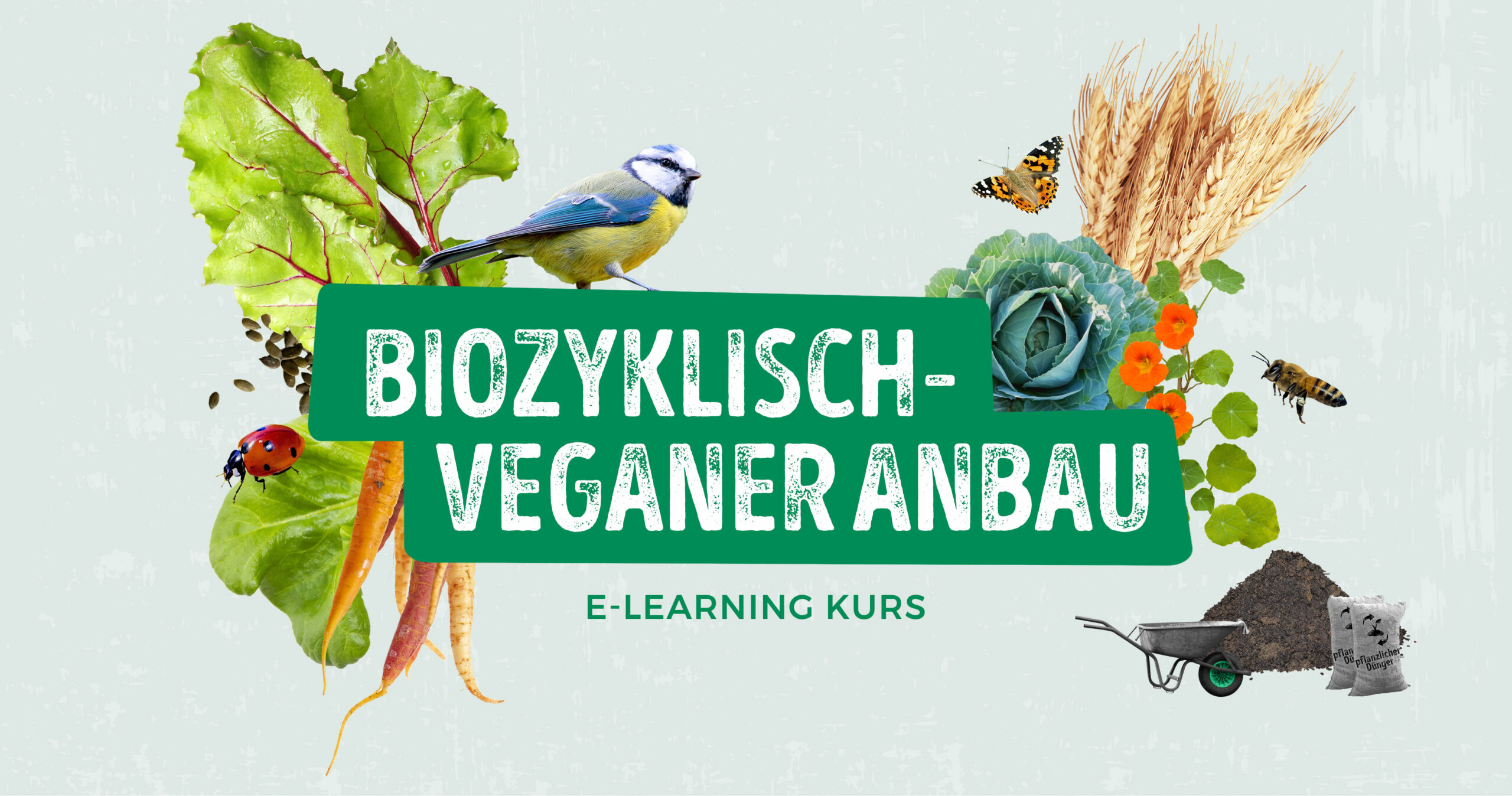 E-Learning-Kurs: Biozyklisch-veganer Anbau