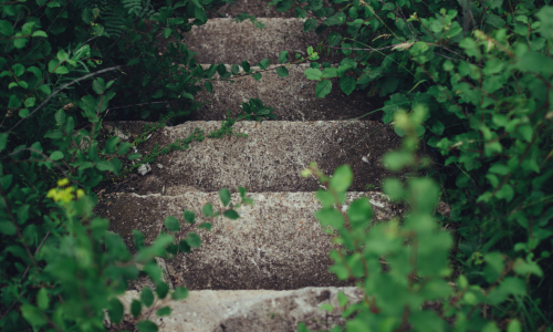 Projektphasen_Quelle_rodion-kutsaev-rPz96Kdsmok-unsplash[1]