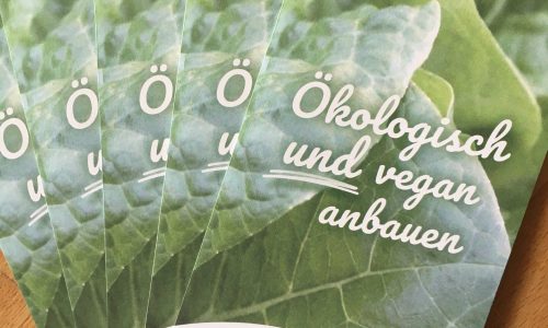 für Informaterial-Konsum