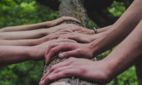 shane-rounce-DNkoNXQti3c-unsplash